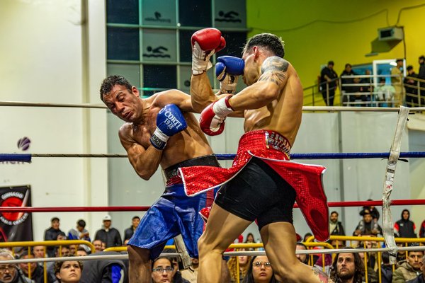 Musculation et perte de poids : le rôle du banc de musculation