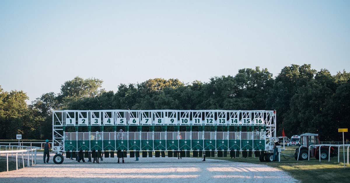 découvrez l'univers passionnant des courses de chevaux, où la vitesse et l'adrénaline se rencontrent. suivez les plus grandes compétitions, apprenez à parier et plongez dans l'histoire fascinante de ce sport emblématique.