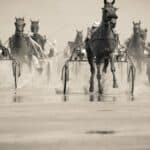 découvrez l'univers fascinant des courses de chevaux, où l'adrénaline et la stratégie se rencontrent. suivez les dernières actualités, les astuces des experts et les résultats en temps réel pour vivre pleinement chaque course.