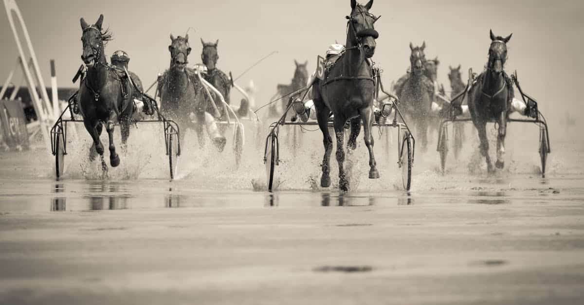 découvrez l'univers fascinant des courses de chevaux, où l'adrénaline et la stratégie se rencontrent. suivez les dernières actualités, les astuces des experts et les résultats en temps réel pour vivre pleinement chaque course.